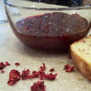 Picture of Dehydrated Cranberry Sauce and Bread